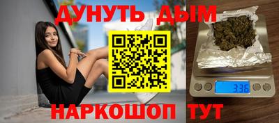 spice Новодвинск