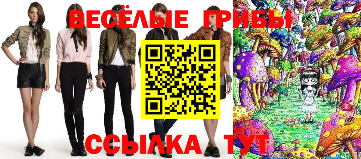 Псилоцибиновые грибы GOLDEN TEACHER Ханты-Мансийск